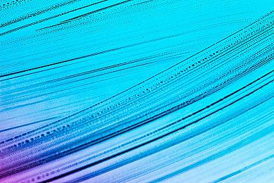 玩家努力挖掘《半条命3》证据 Valve正在全力掩盖